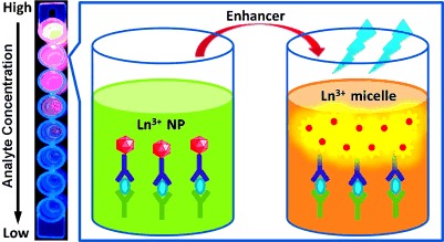 Dissolution-Enhanced Luminescent Bioassay Based on Inorganic Lanthanide Nanoparticles