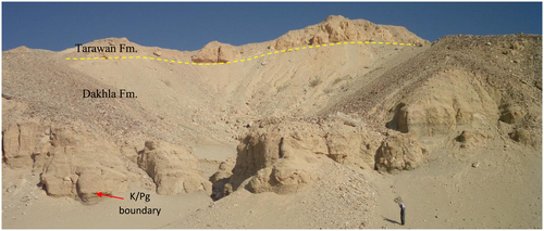 Details are in the caption following the image