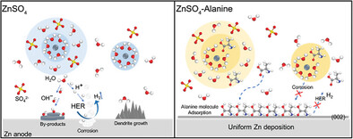 Multifunctional Amphoteric Additive Alanine Enables High-Performance Wide-pH Zn Metal Anodes