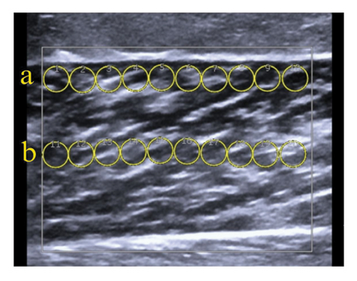 Details are in the caption following the image Details are in the caption following the image