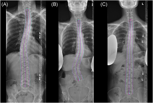 Details are in the caption following the image Details are in the caption following the image