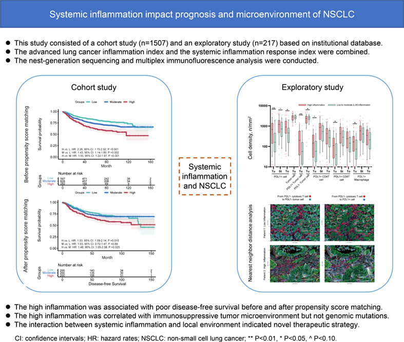 Systemic inflammation influences the prognosis of patients with radically resected non-small cell lung cancer and correlates with the immunosuppressive microenvironment
