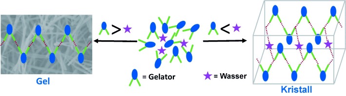 Stoichiometric Sensing to Opt between Gelation and Crystallization