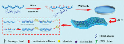 Preparation and Application of Zwitterion Modified Starch Catalyzed by HRP-ACAC Binary System