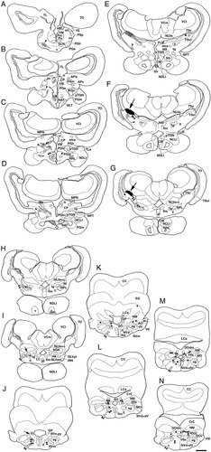 Details are in the caption following the image Details are in the caption following the image