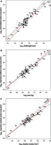Details are in the caption following the image Details are in the caption following the image