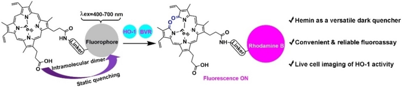 Hemin as a General Static Dark Quencher for Constructing Heme Oxygenase-1 Fluorescent Probes