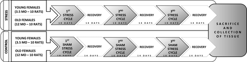 Details are in the caption following the image Details are in the caption following the image