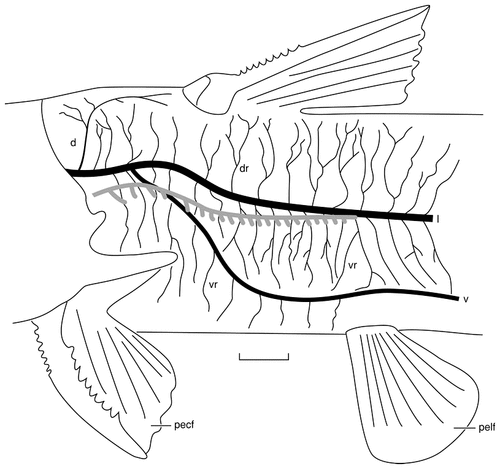 Details are in the caption following the image