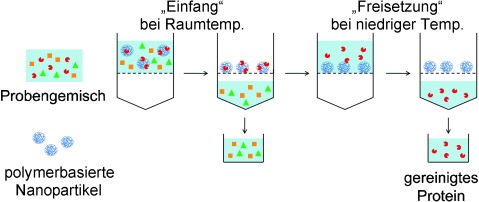 Temperature-Responsive “Catch and Release” of Proteins by using Multifunctional Polymer-Based Nanoparticles