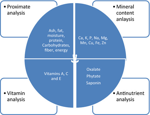 Nutritional composition and antinutrient content of Heteromorpha arborescens (Spreng.) Cham. & Schltdl. leaves: An underutilized wild vegetable