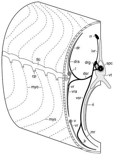 Details are in the caption following the image