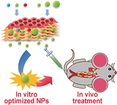 Use of Three-Dimensional Arterial Models To Predict the In Vivo Behavior of Nanoparticles for Drug Delivery