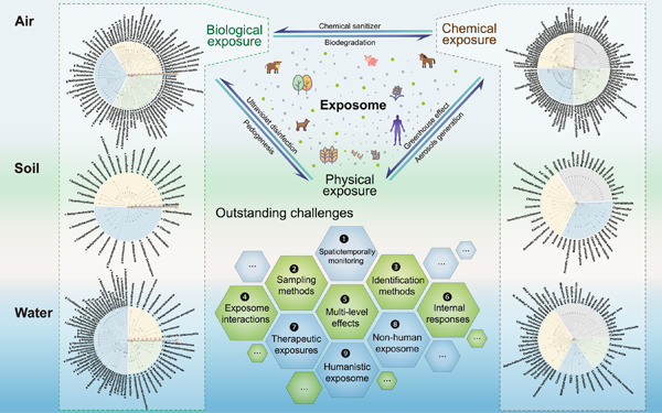 Charting the landscape of the environmental exposome