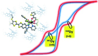 Magnetic Memory in an Isotopically Enriched and Magnetically Isolated Mononuclear Dysprosium Complex