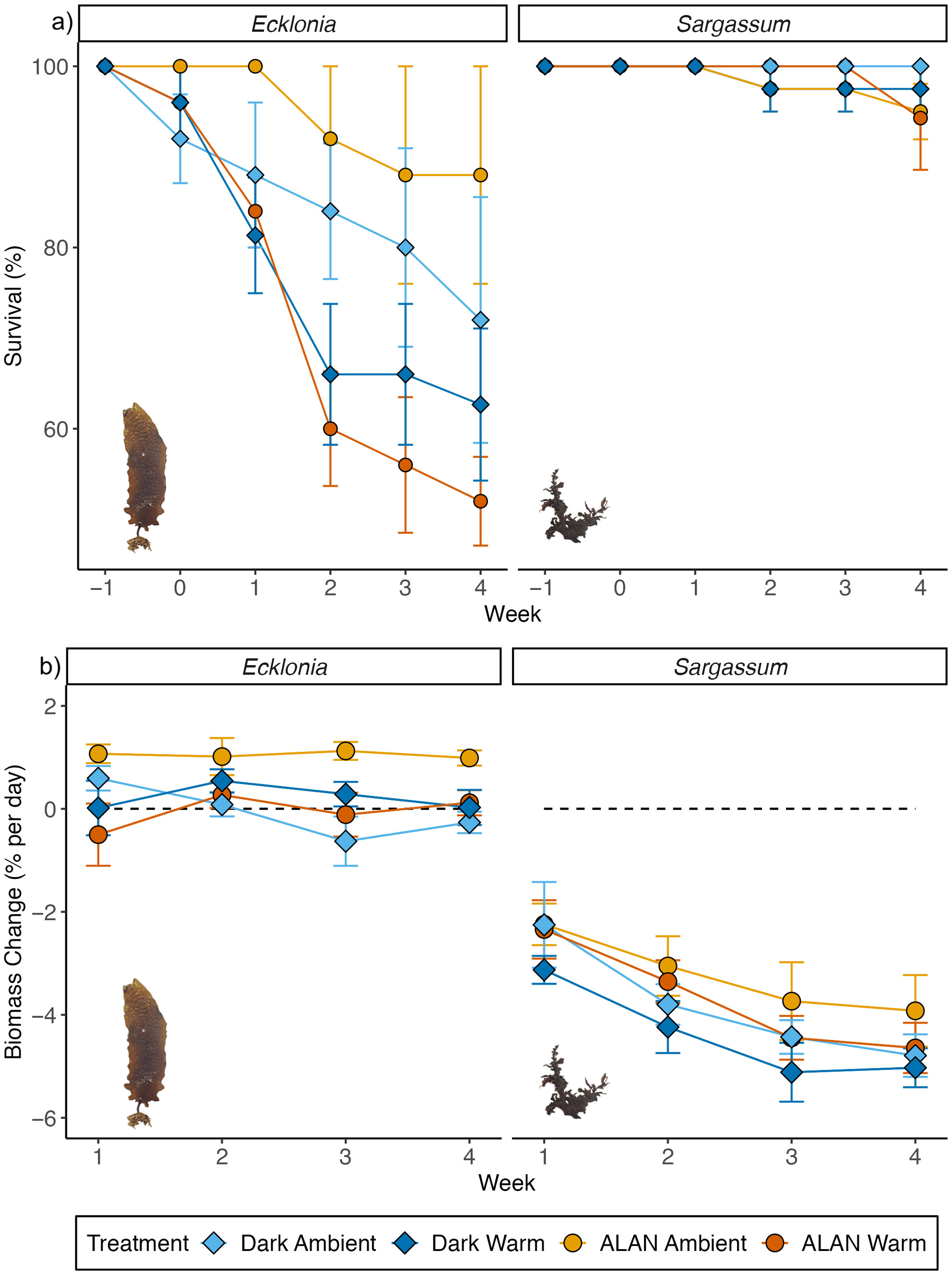Antagonistic Effects of Light Pollution and Warming on Habitat-Forming Seaweeds