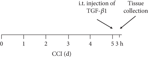 Details are in the caption following the image