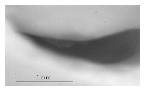 Details are in the caption following the image