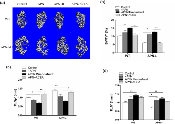 Central adiponectin induces trabecular bone mass partly through epigenetic downregulation of cannabinoid receptor CB1