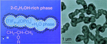 Creation of Intestine-like Interior Space for Metal-Oxide Nanostructures with a Quasi-Reverse Emulsion