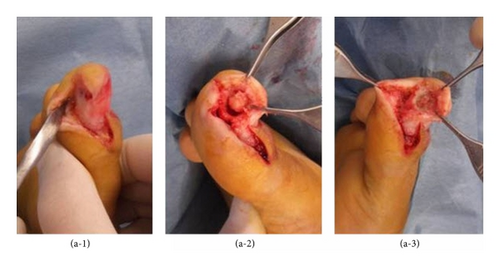 Details are in the caption following the image Details are in the caption following the image