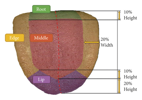 Details are in the caption following the image Details are in the caption following the image