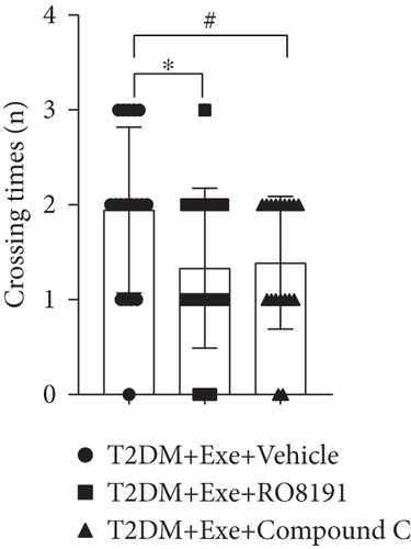 Details are in the caption following the image