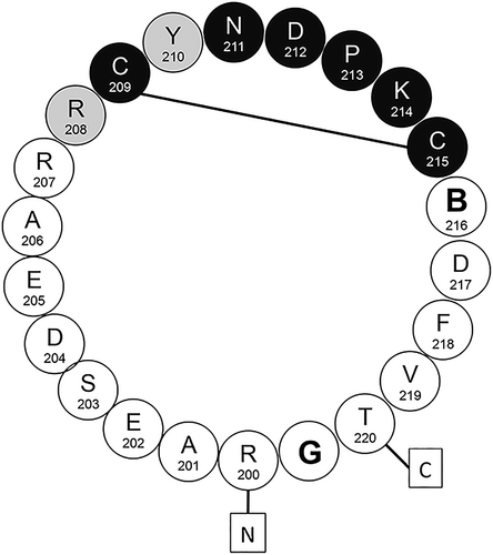 Details are in the caption following the image