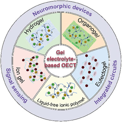 Gel-Based Electrolytes for Organic Electrochemical Transistors: Mechanisms, Applications, and Perspectives