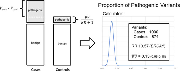 Estimating the proportion of pathogenic variants from breast cancer case–control data: Application to calibration of ACMG/AMP variant classification criteria