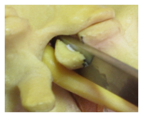Details are in the caption following the image Details are in the caption following the image