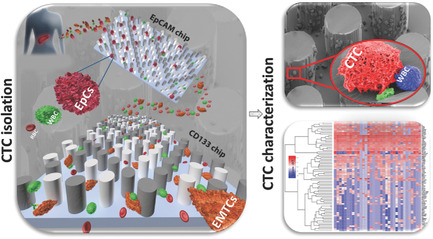 Profiling Heterogeneous Circulating Tumor Cells (CTC) Populations in Pancreatic Cancer Using a Serial Microfluidic CTC Carpet Chip