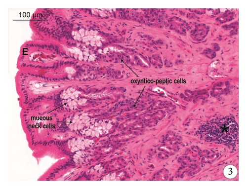 Details are in the caption following the image Details are in the caption following the image