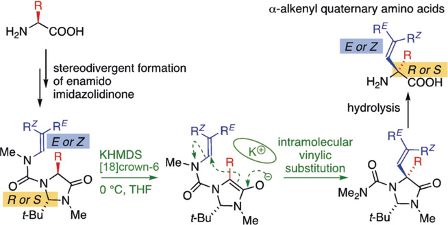 Asymmetric and Geometry-Selective α-Alkenylation of α-Amino Acids