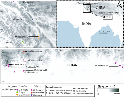 Details are in the caption following the image Details are in the caption following the image
