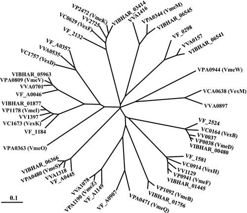 Details are in the caption following the image