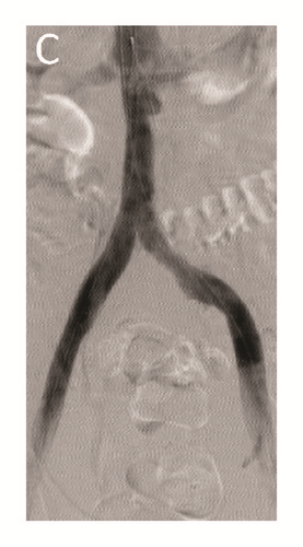 Details are in the caption following the image