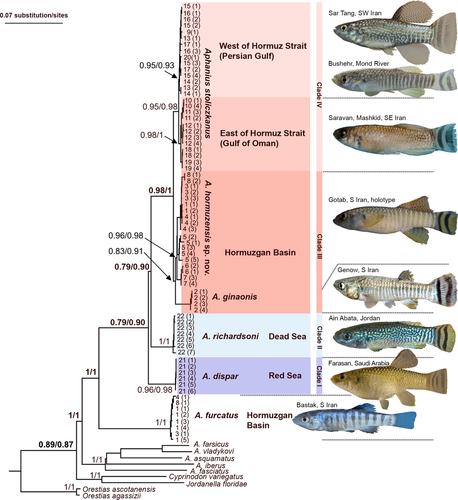 Details are in the caption following the image Details are in the caption following the image