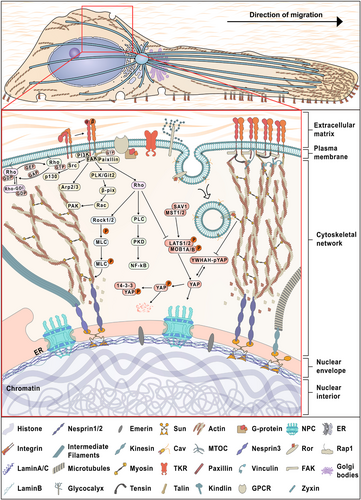 Details are in the caption following the image Details are in the caption following the image