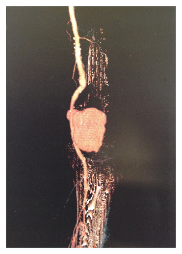 Details are in the caption following the image