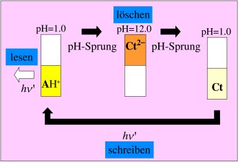 Thermal and Photochemical Properties of 4′,7-Dihydroxyflavylium in Water–Ionic Liquid Biphasic Systems: A Write–Read–Erase Molecular Switch