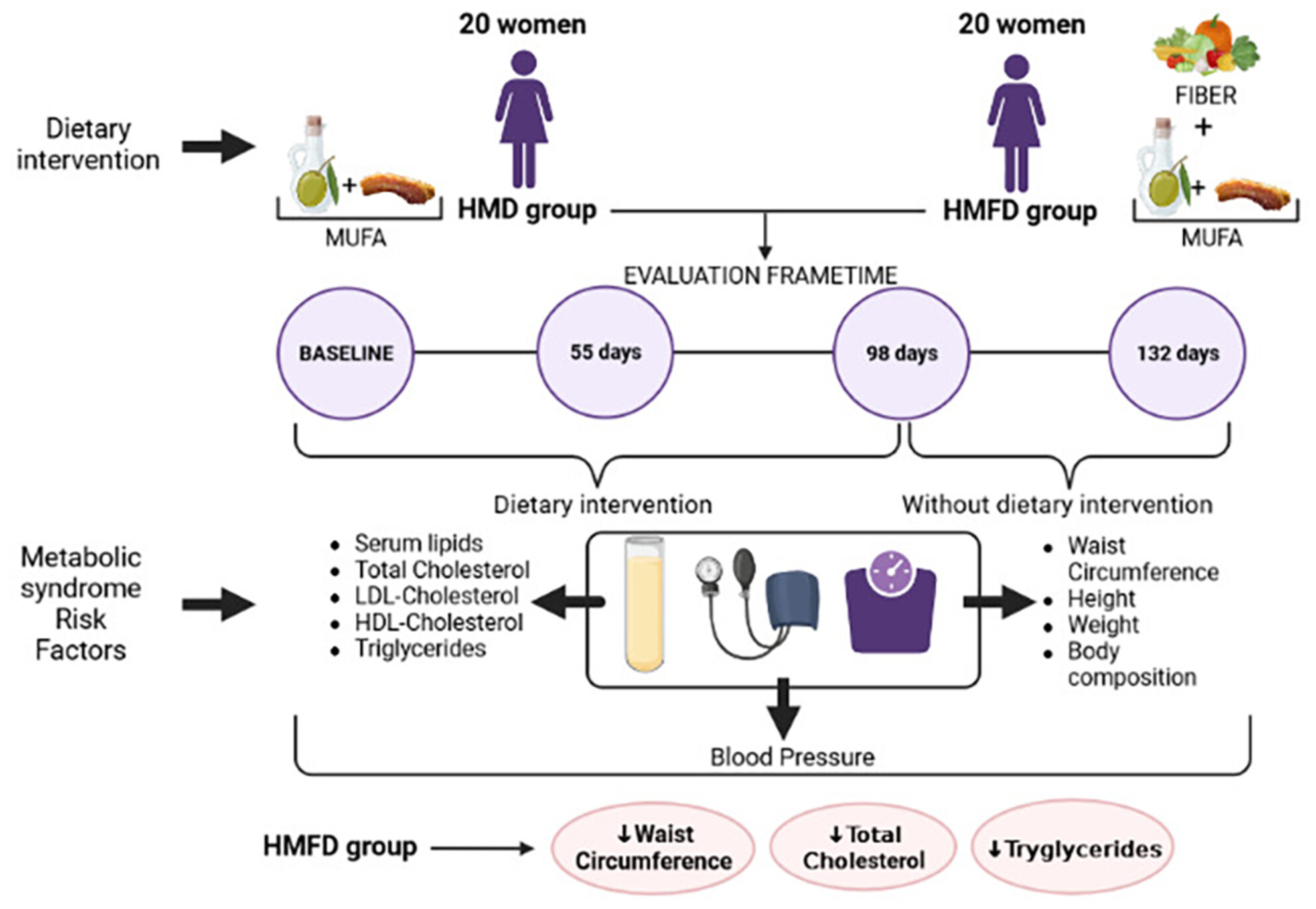 Effect on blood lipids and body composition of a high-fat (MUFA) and high-fiber diet: A case–control study