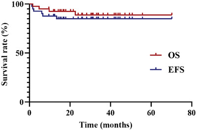 Allogeneic hematopoietic stem cell transplantation with the modified myeloablative conditioning regimen for children with chronic active Epstein–Barr virus infection