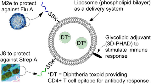 Combinatorial liposomal peptide vaccine induces IgA and confers protection against influenza virus and bacterial super-infection