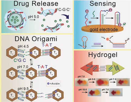 Triplex DNA Nanostructures: From Basic Properties to Applications