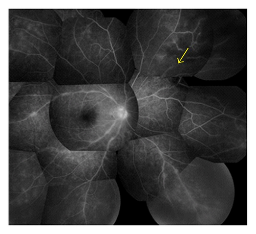 Details are in the caption following the image Details are in the caption following the image
