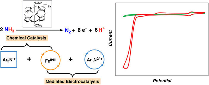 Oxidation of Ammonia Catalyzed by a Molecular Iron Complex: Translating Chemical Catalysis to Mediated Electrocatalysis