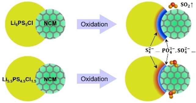 Impact of the Chlorination of Lithium Argyrodites on the Electrolyte/Cathode Interface in Solid-State Batteries