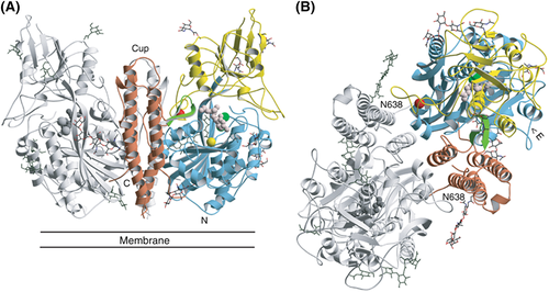 Details are in the caption following the image Details are in the caption following the image