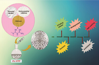 Ternary Blend of Chitosan/Polyvinyl Alcohol/Carboxymethylcellulose as an Efficient System for the Release Studies of Metformin Hydrochloride